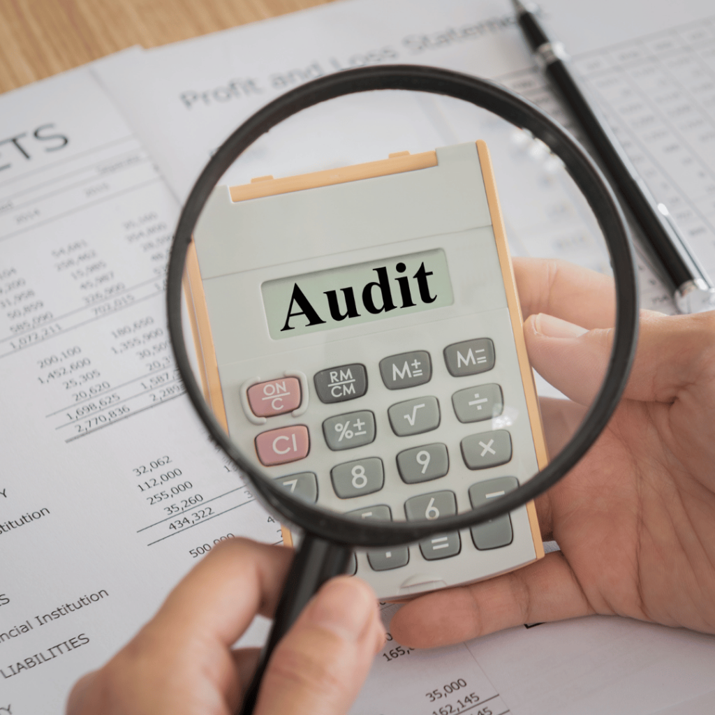 Audit document translation