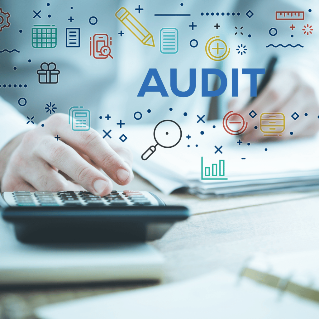 Audit document translation